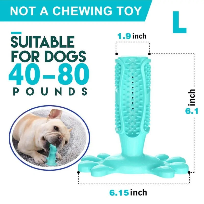 BiteBright Rubber Dog Chew Toys