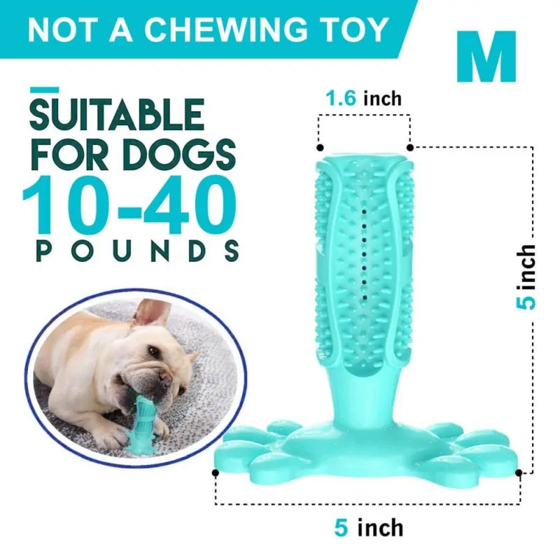 BiteBright Rubber Dog Chew Toys