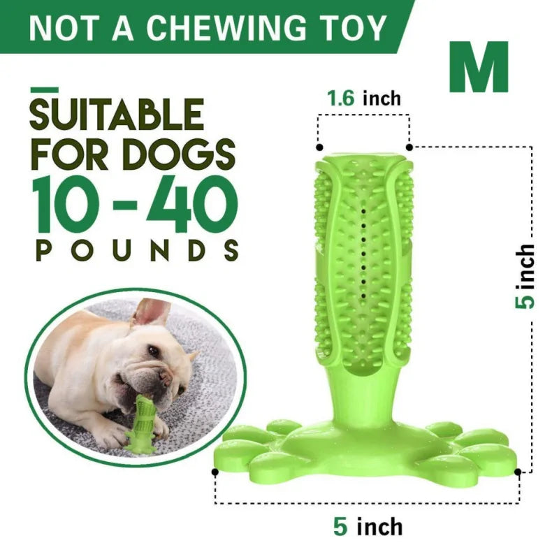 BiteBright Rubber Dog Chew Toys