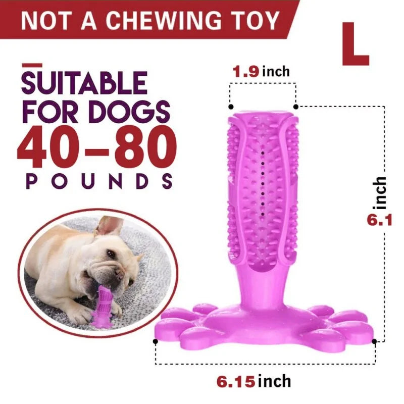 BiteBright Rubber Dog Chew Toys