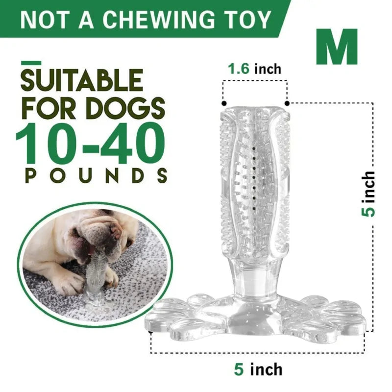 BiteBright Rubber Dog Chew Toys