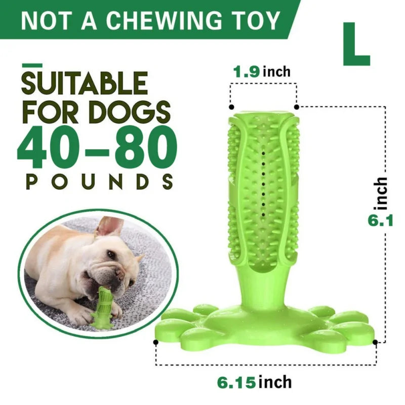 BiteBright Rubber Dog Chew Toys
