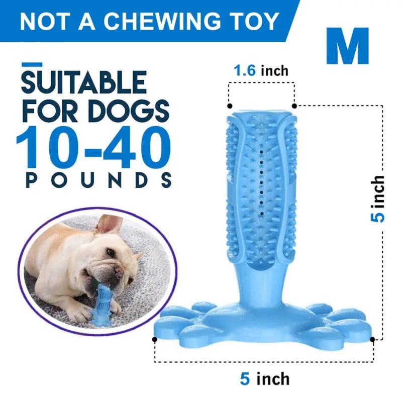BiteBright Rubber Dog Chew Toys