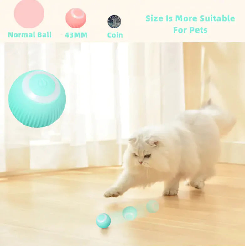 RolliPup Smart Cat Ball Toys
