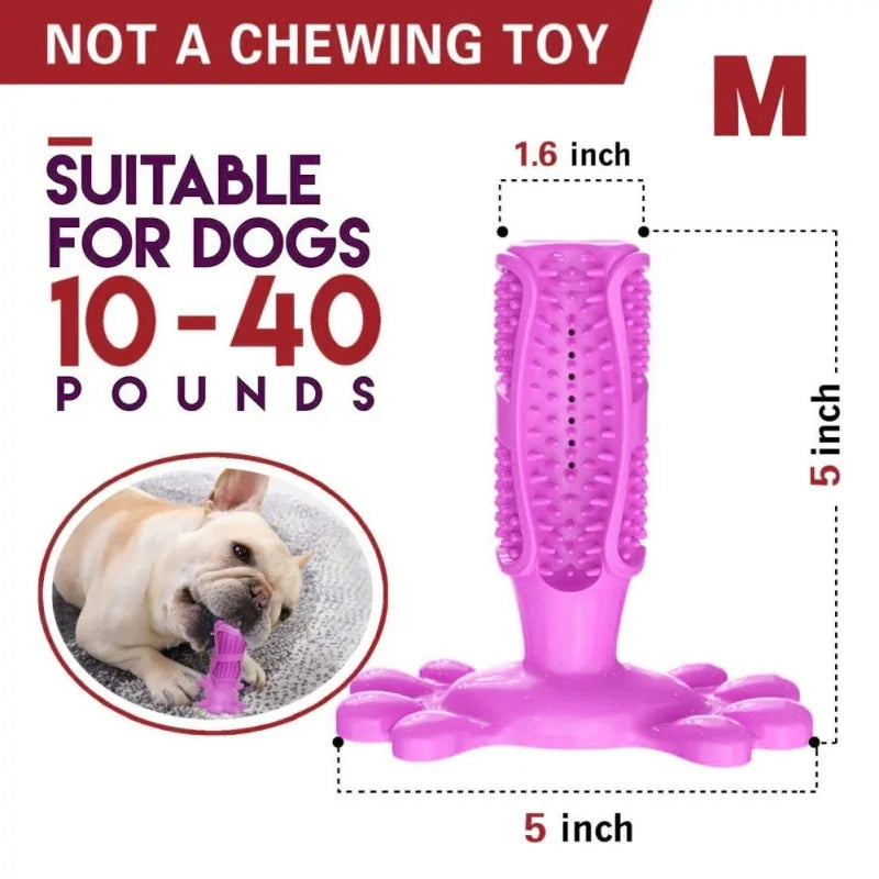 BiteBright Rubber Dog Chew Toys