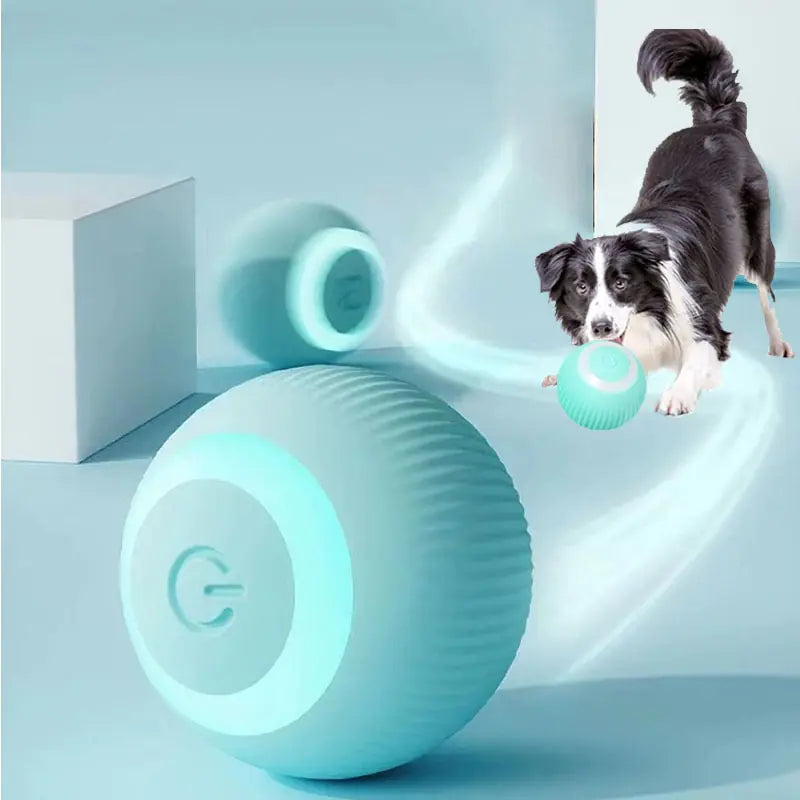 RolliPup Smart Dog Ball Toys