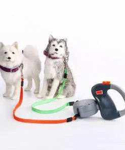 2-in-1 Dog Collar and Leash