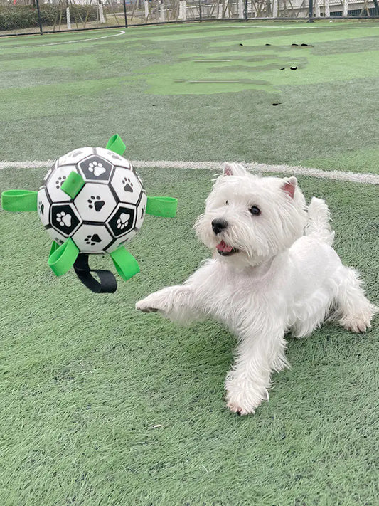 Interactive Dog Football