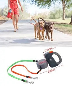 2-in-1 Dog Collar and Leash