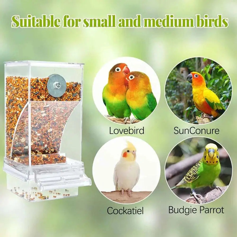 CleanBeak No Mess Automatic Bird Feeder Cup