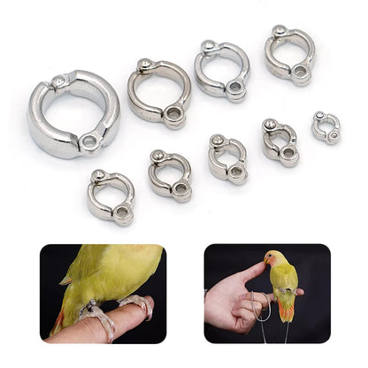 Adjustable Metal Parrot Foot Rings