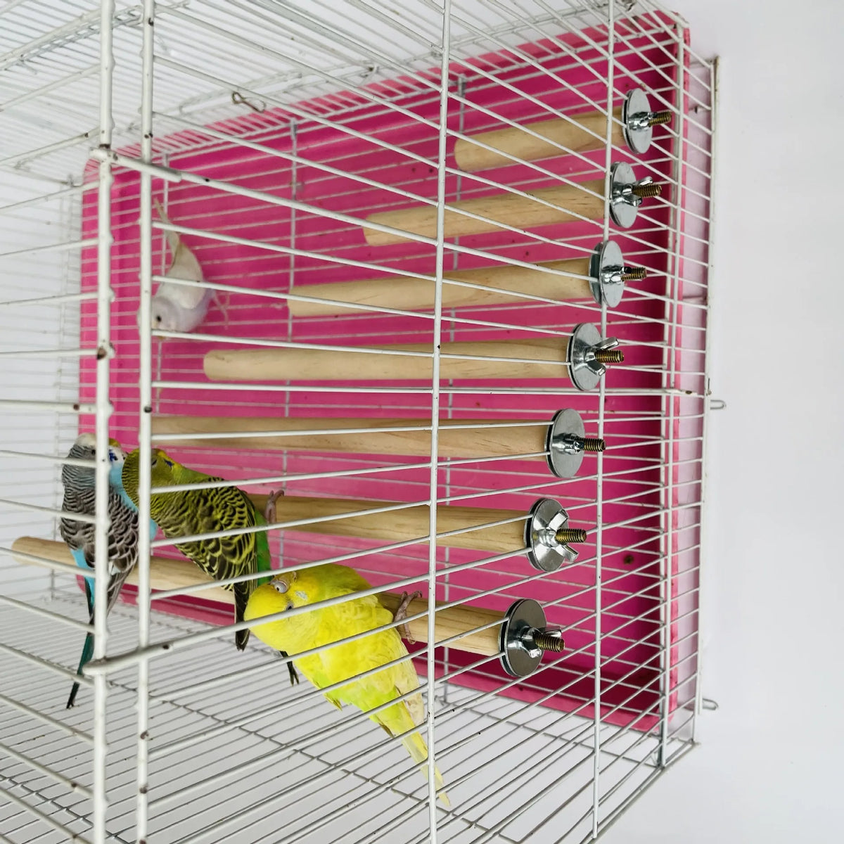 Perch Rack Wooden Parrot Standing Perch Hanging Toy Rack – My Store