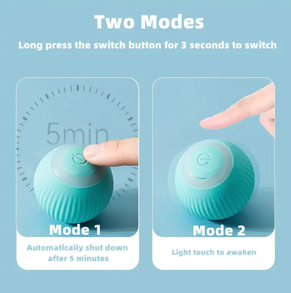 RolliPup Smart Cat Ball Toys