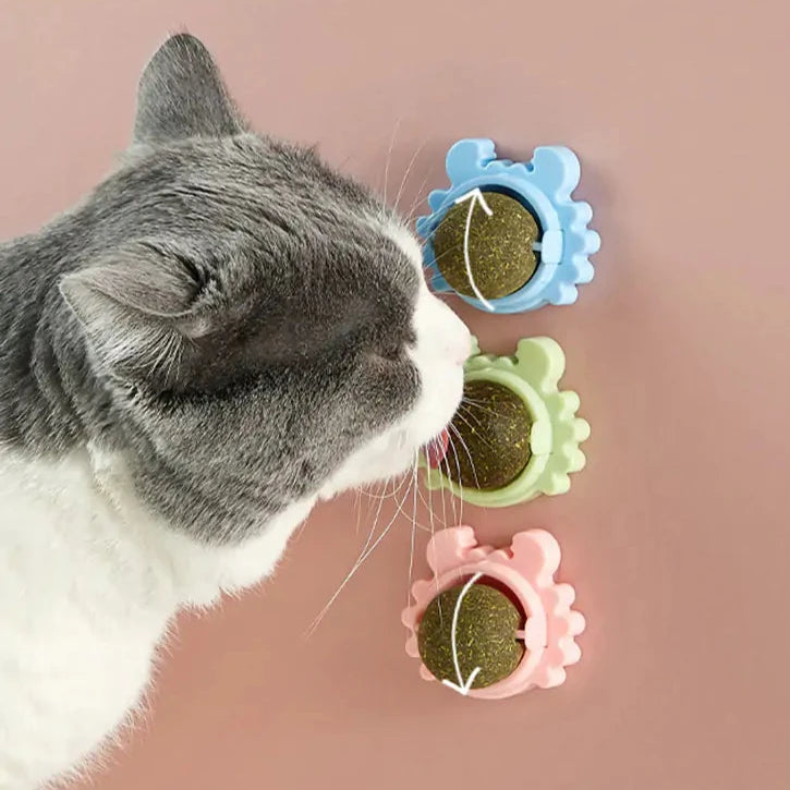 Healthy Cat Catnip Toy Snack