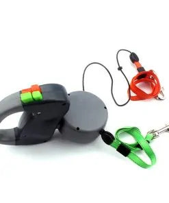 2-in-1 Dog Collar and Leash