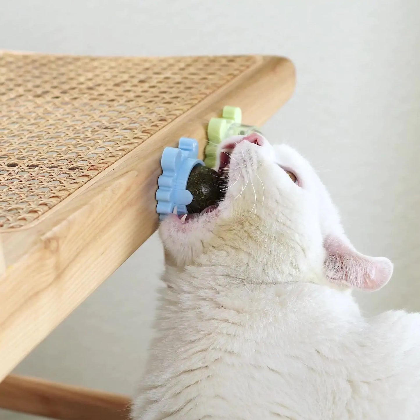 Healthy Cat Catnip Toy Snack