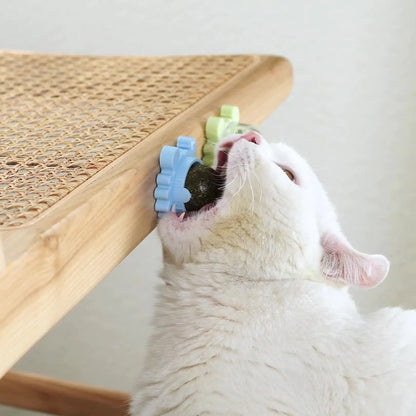 Healthy Cat Catnip Toy Snack